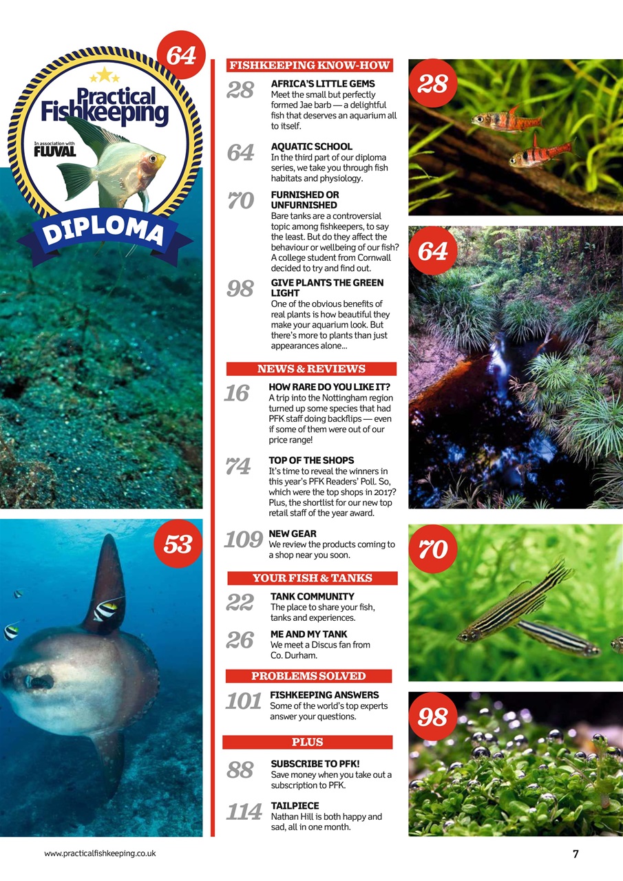 Practical Fishkeeping Preview Pages