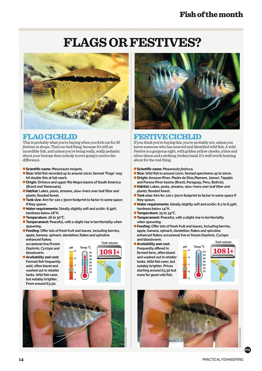 Practical Fishkeeping Preview Pages