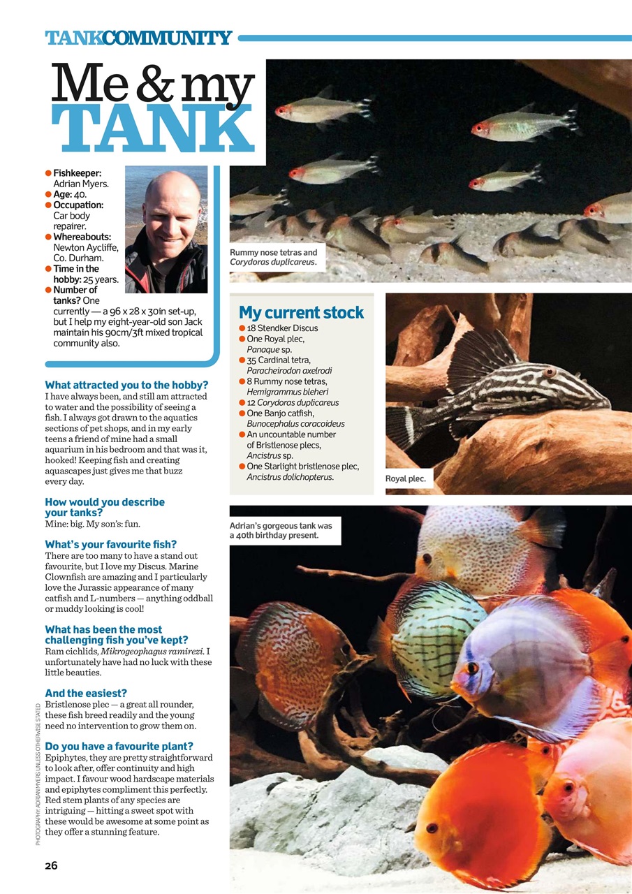 Practical Fishkeeping Preview Pages
