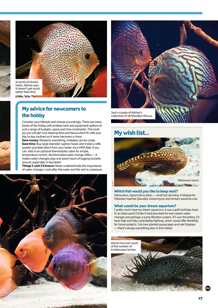 Practical Fishkeeping Preview Pages