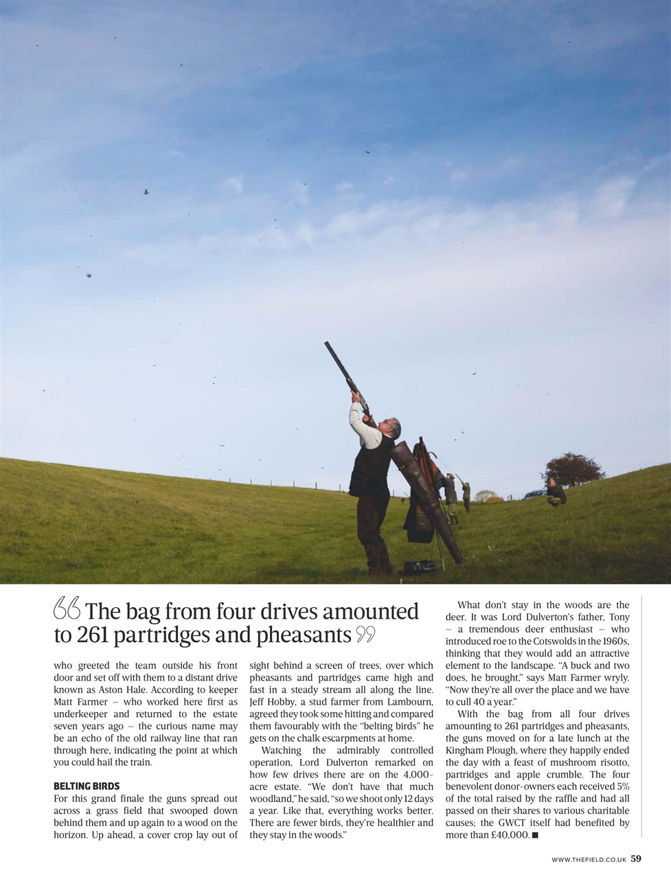 The Field Preview Pages