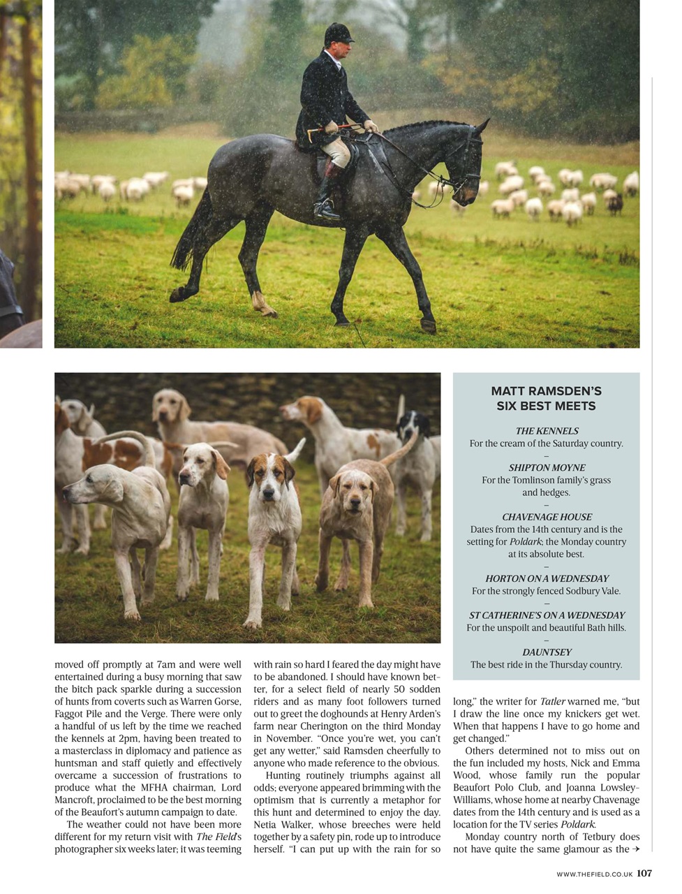 The Field Preview Pages