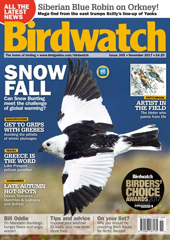 Birdwatch Magazine issue November 2017