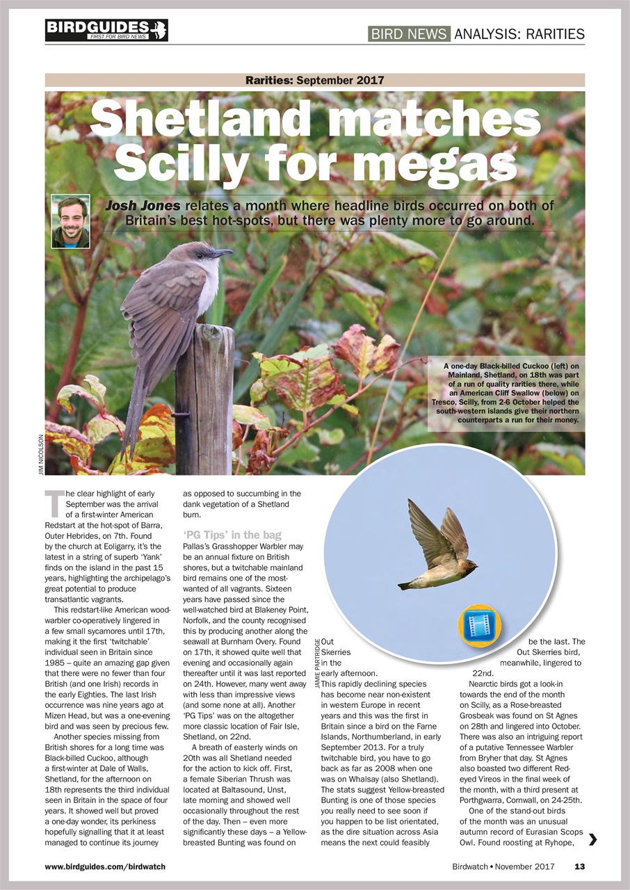 Birdwatch Magazine Preview Pages