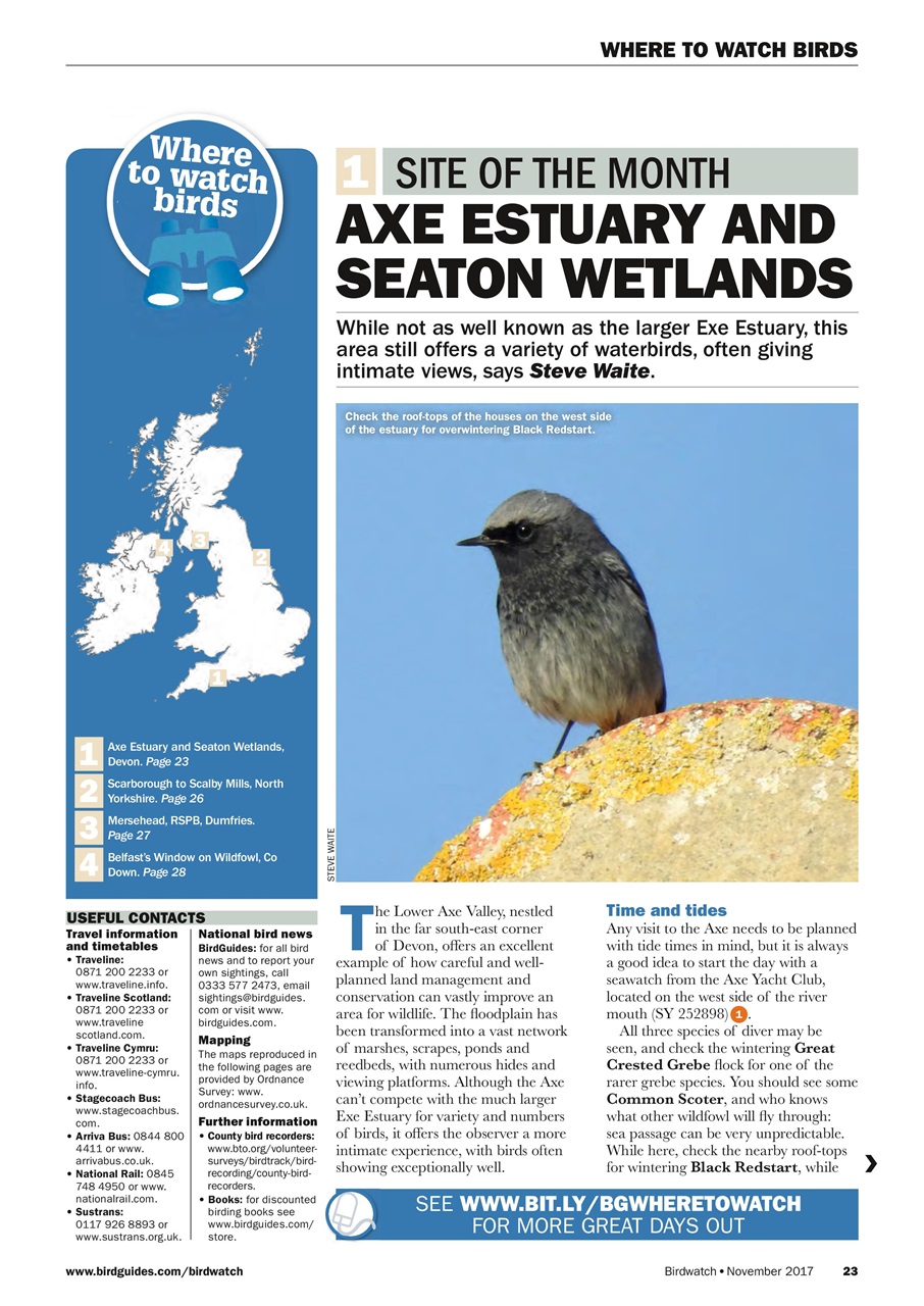 Birdwatch Magazine Preview Pages