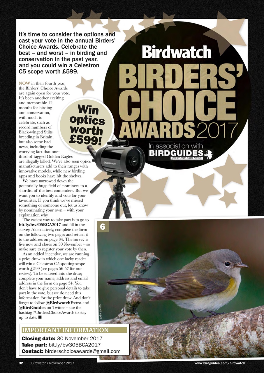 Birdwatch Magazine Preview Pages