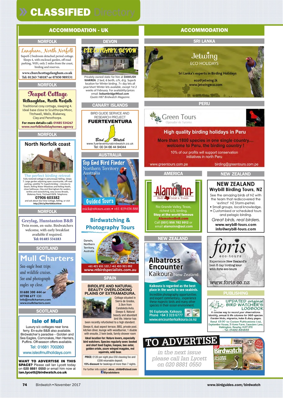 Birdwatch Magazine Preview Pages