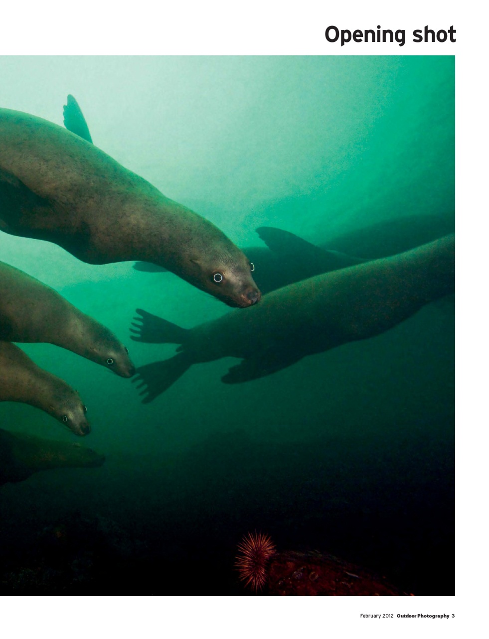 Outdoor Photography Preview Pages