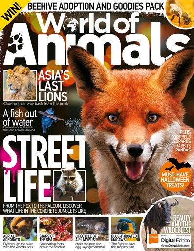 World of Animals issue 