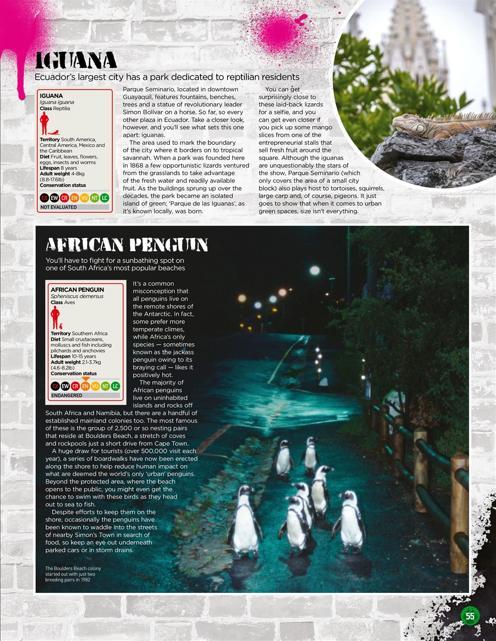 World of Animals Preview Pages