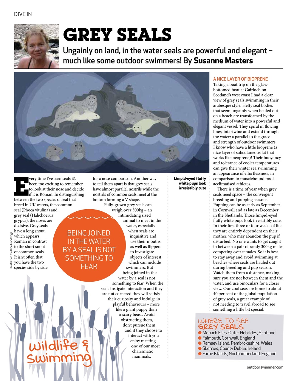 Outdoor Swimmer Preview Pages
