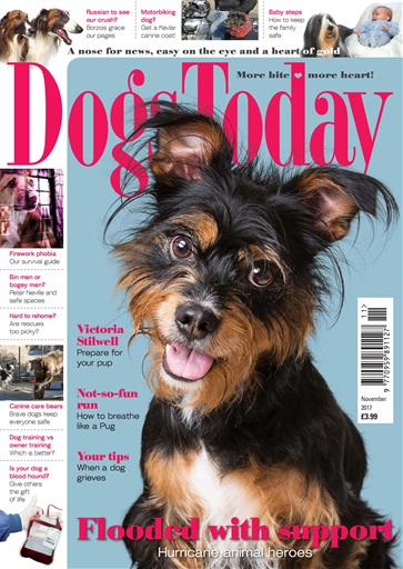 Dogs Today Magazine issue 