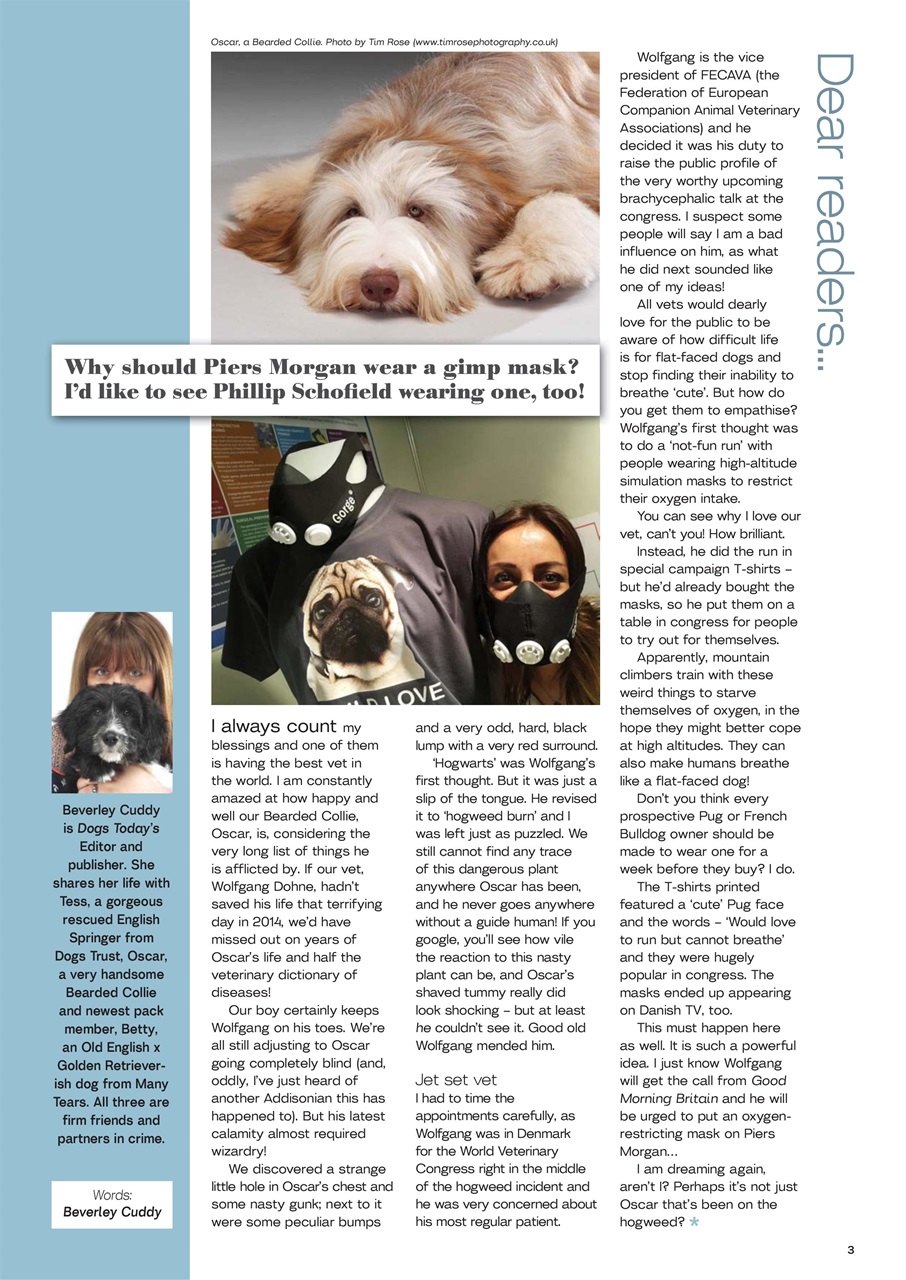 Dogs Today Magazine Preview Pages