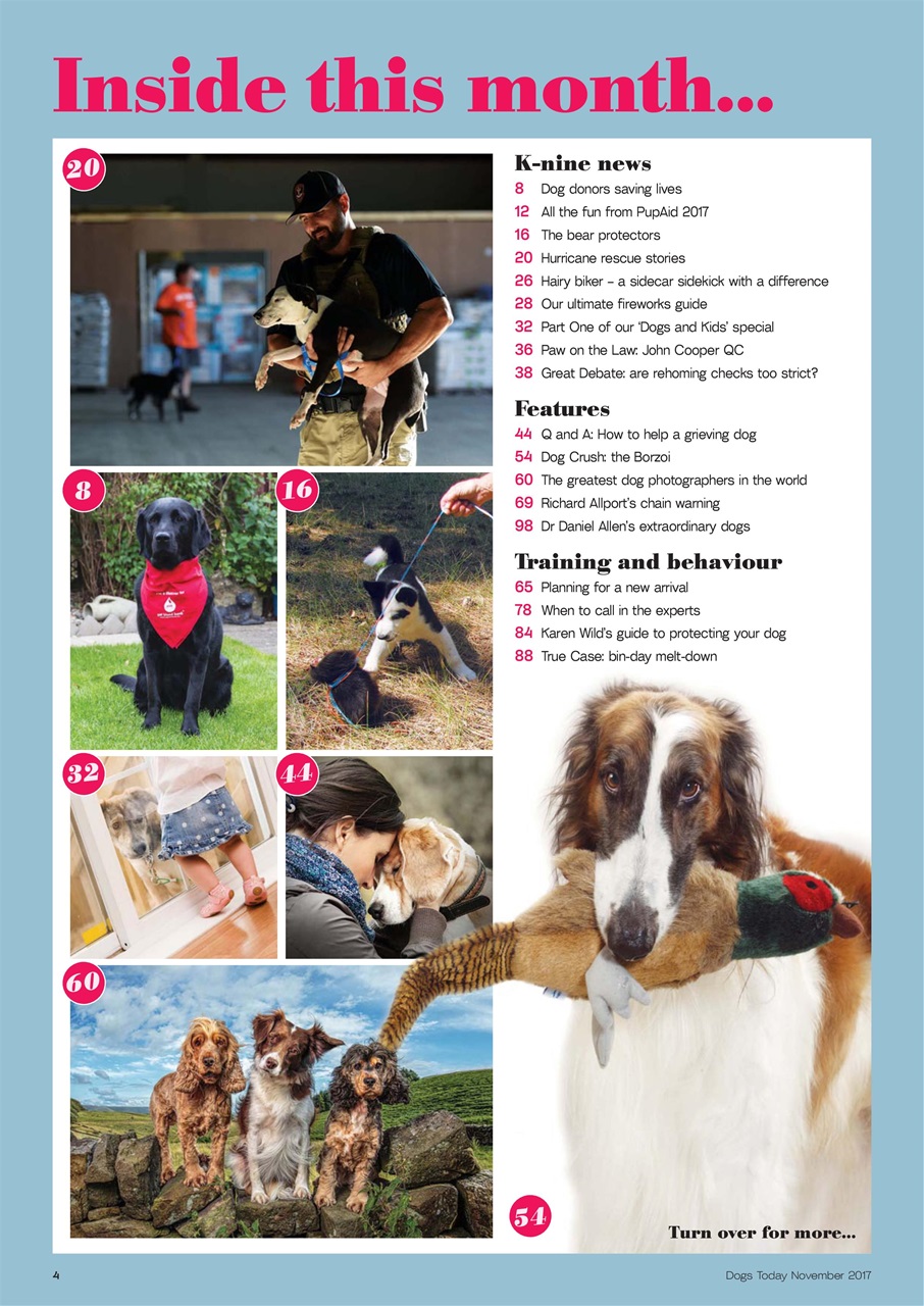 Dogs Today Magazine Preview Pages