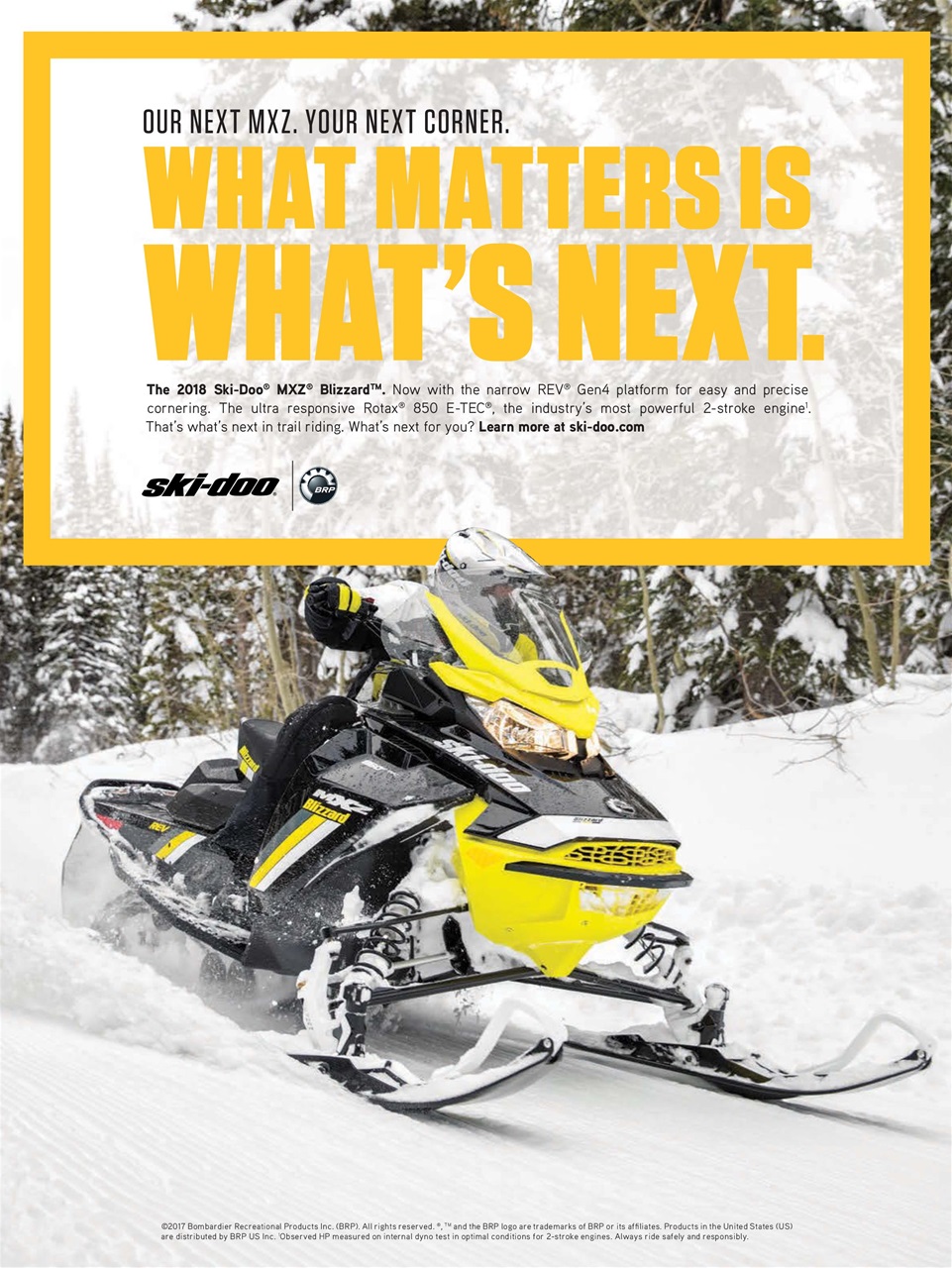 SnowGoer Preview Pages