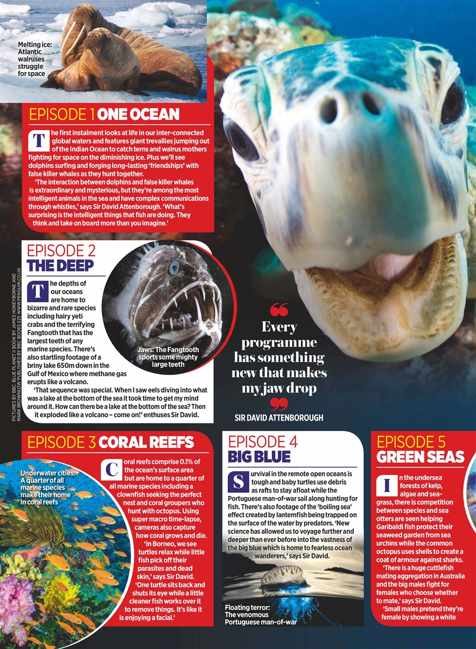 TV Times Preview Pages