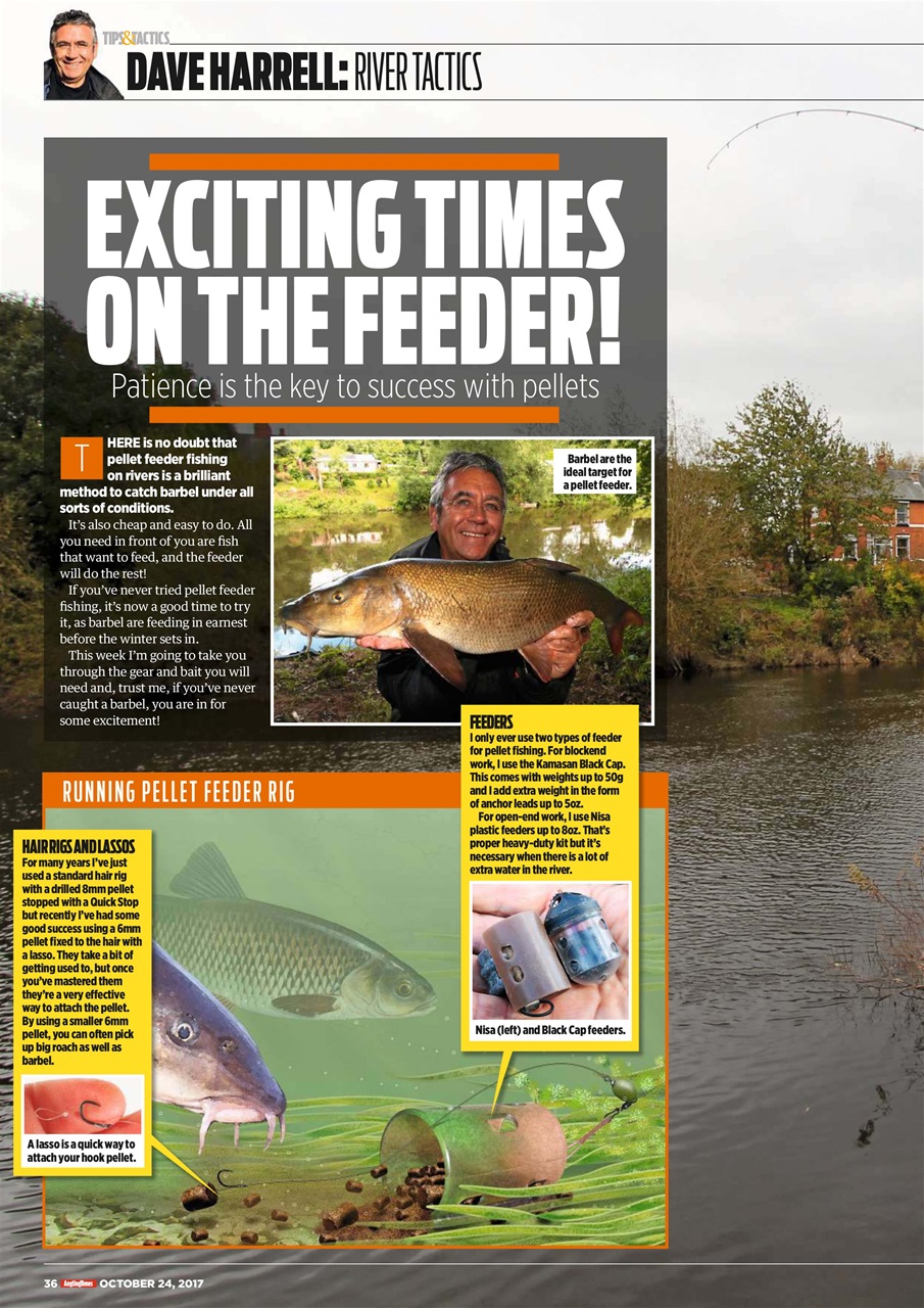 Angling Times Preview Pages
