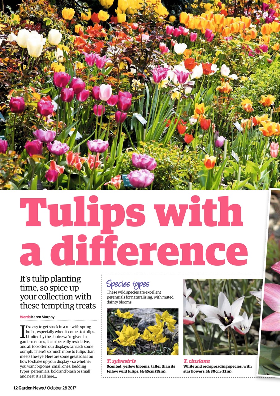 Garden News Preview Pages