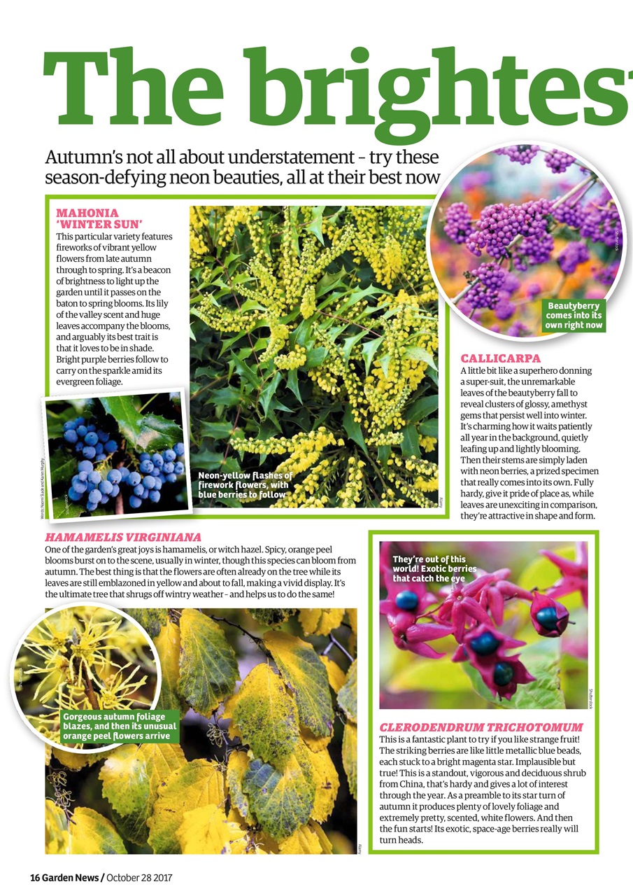 Garden News Preview Pages