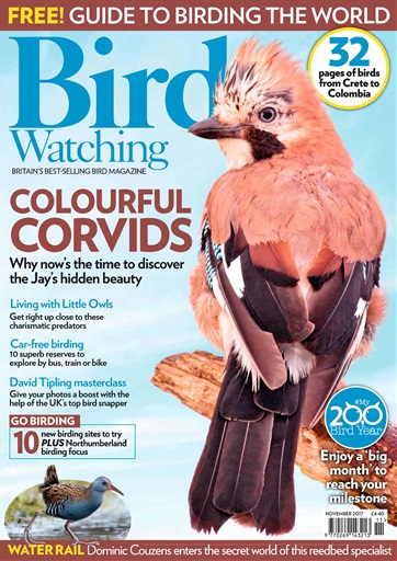 Bird Watching issue 