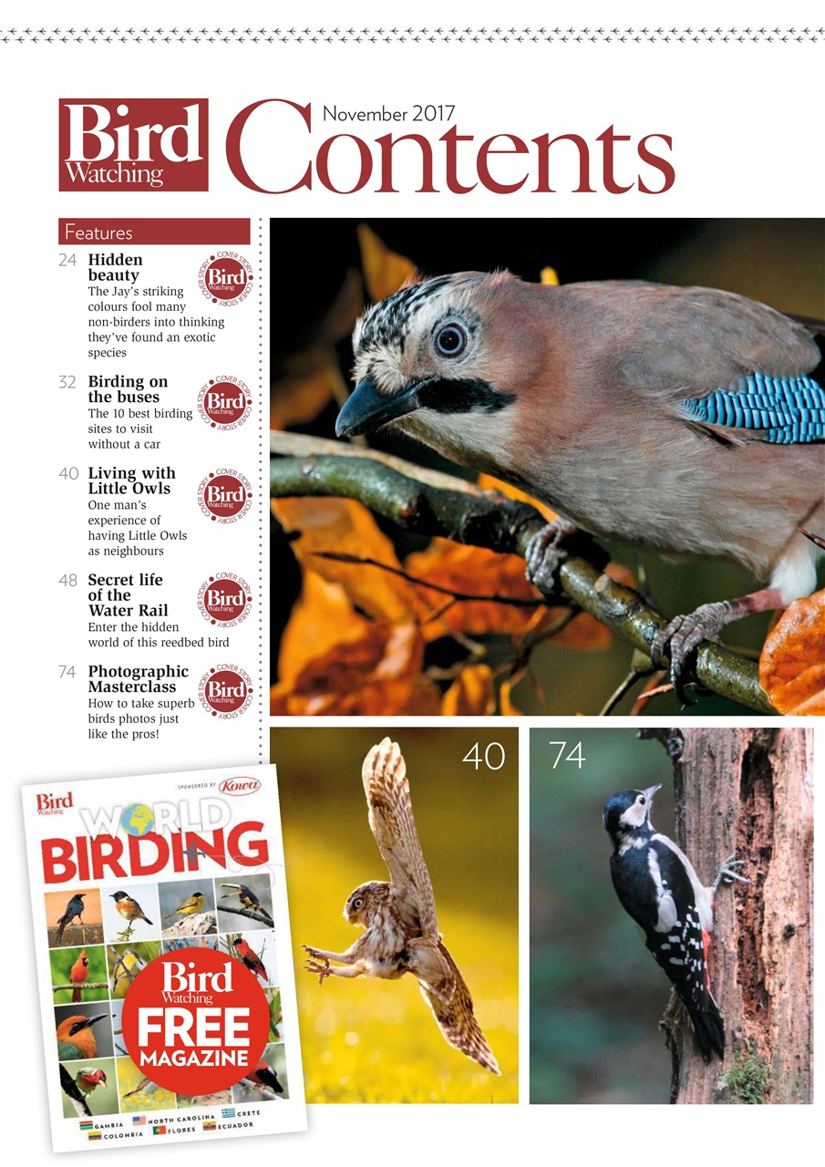Bird Watching Preview Pages