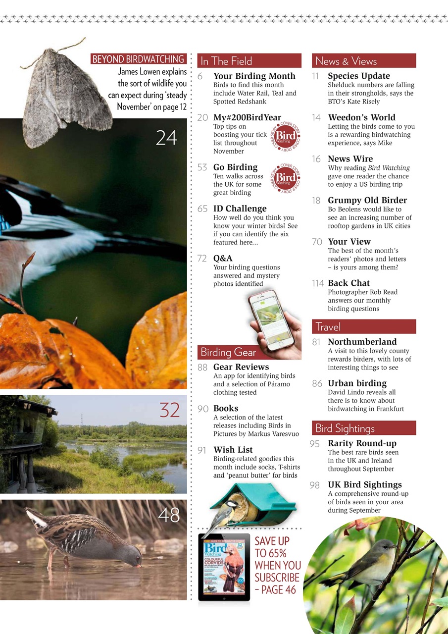 Bird Watching Preview Pages