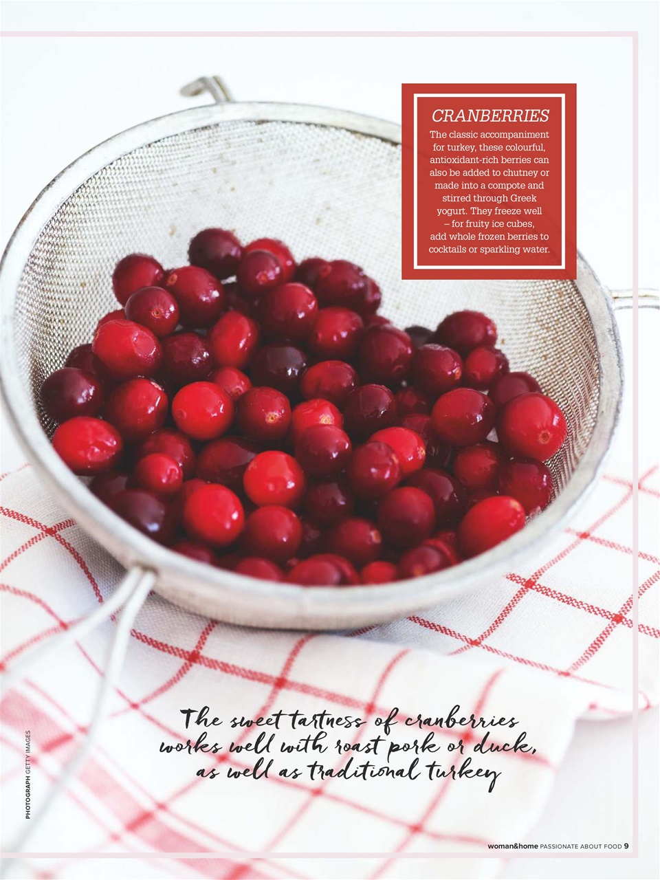 Woman & Home Feel Good Food Preview Pages