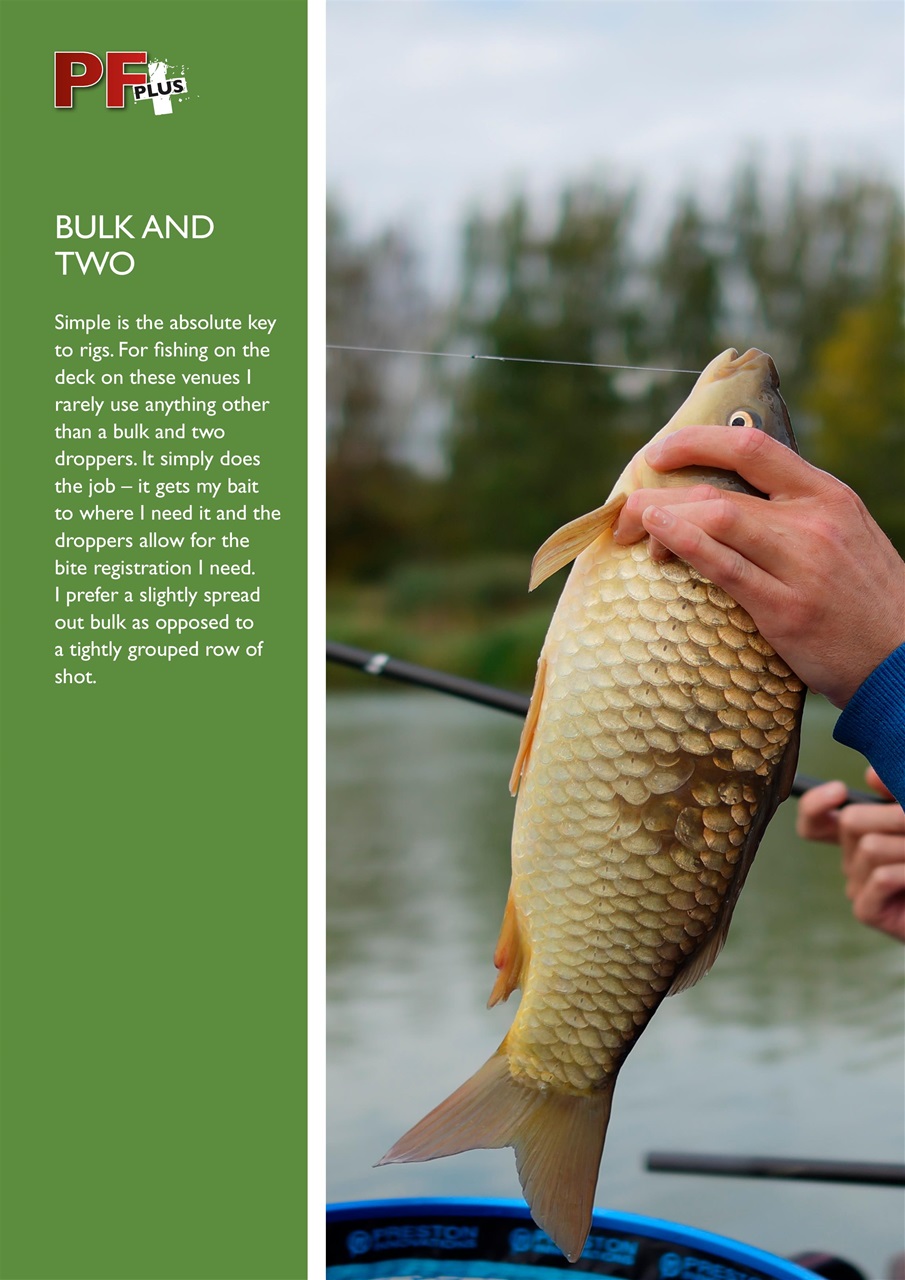 Pole Fishing Plus Preview Pages