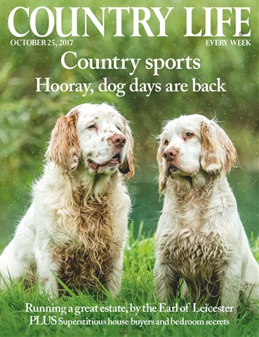 Country Life issue 25th October 2017