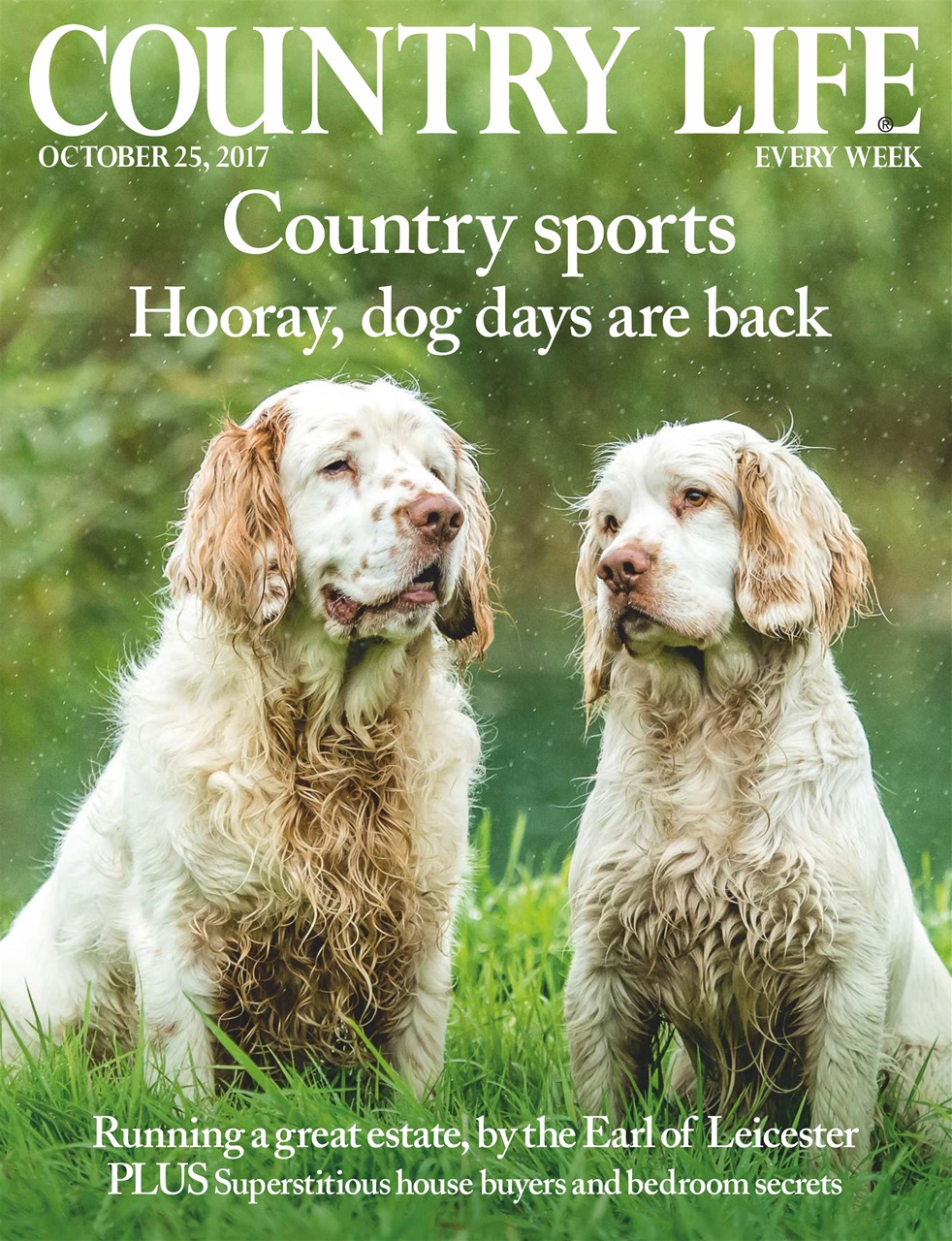 Country Life Preview Pages