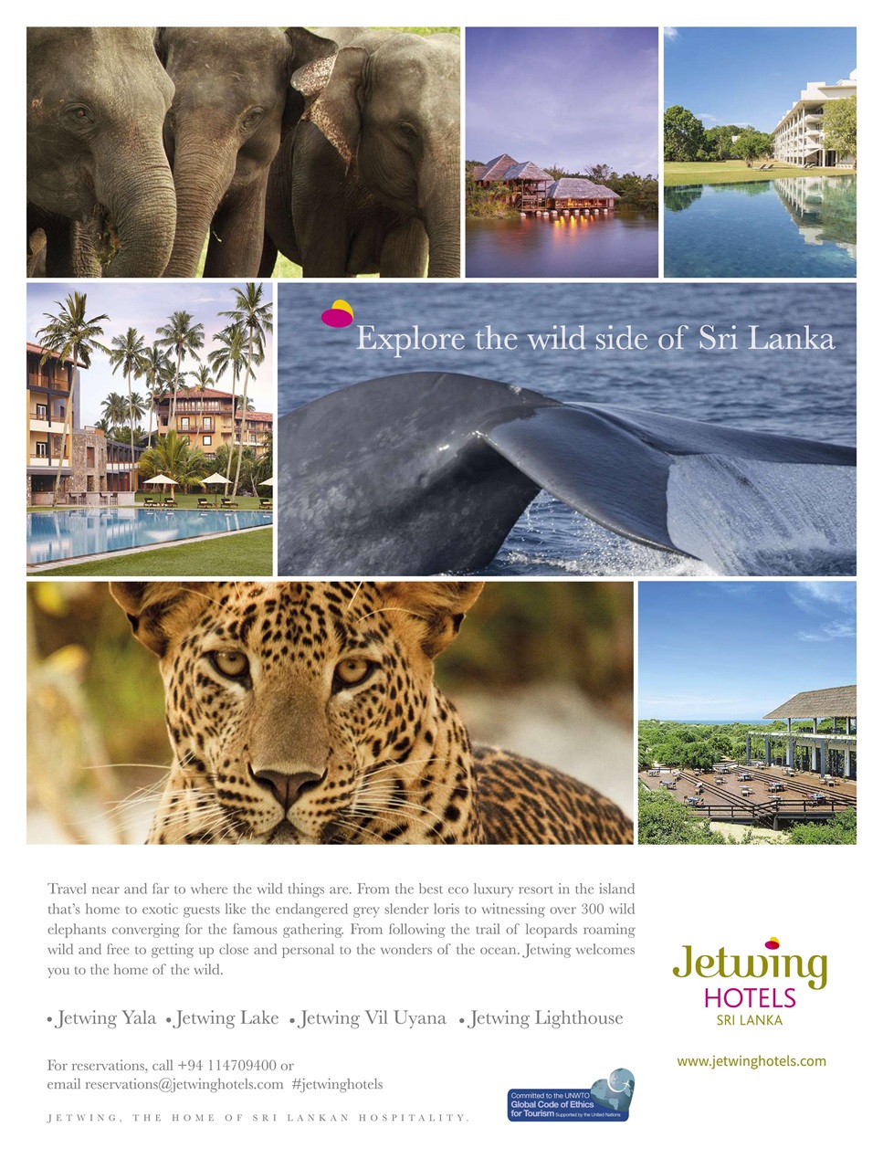 BBC Wildlife Magazine Preview Pages