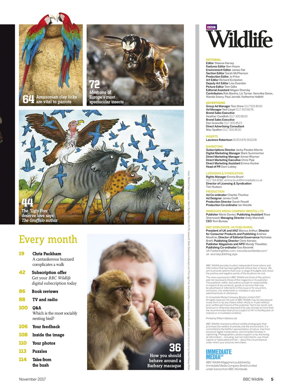 BBC Wildlife Magazine Preview Pages