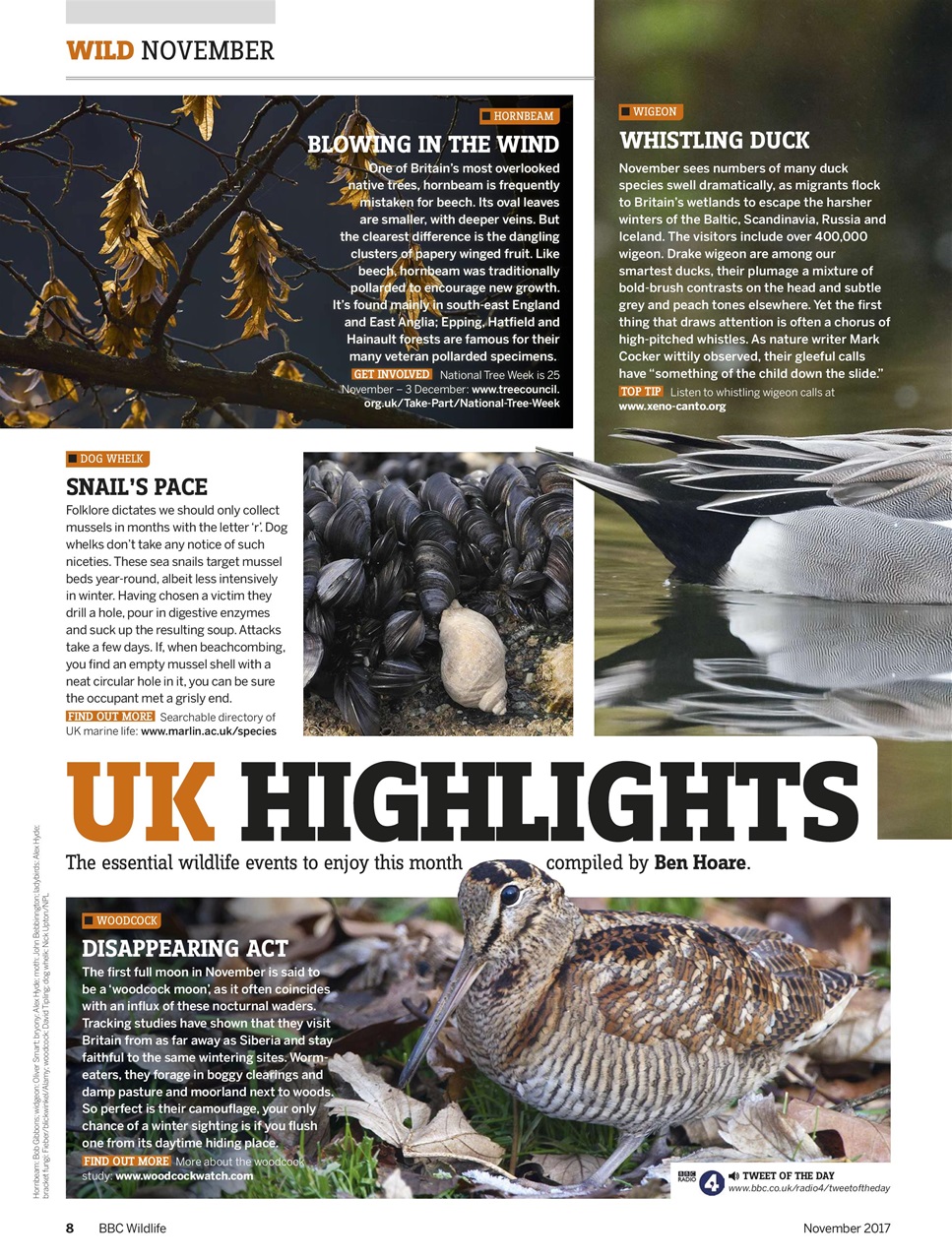 BBC Wildlife Magazine Preview Pages