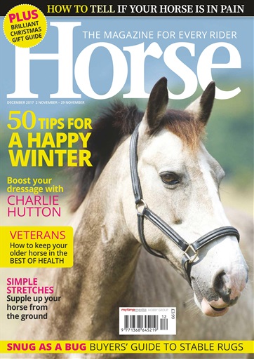 Horse issue 