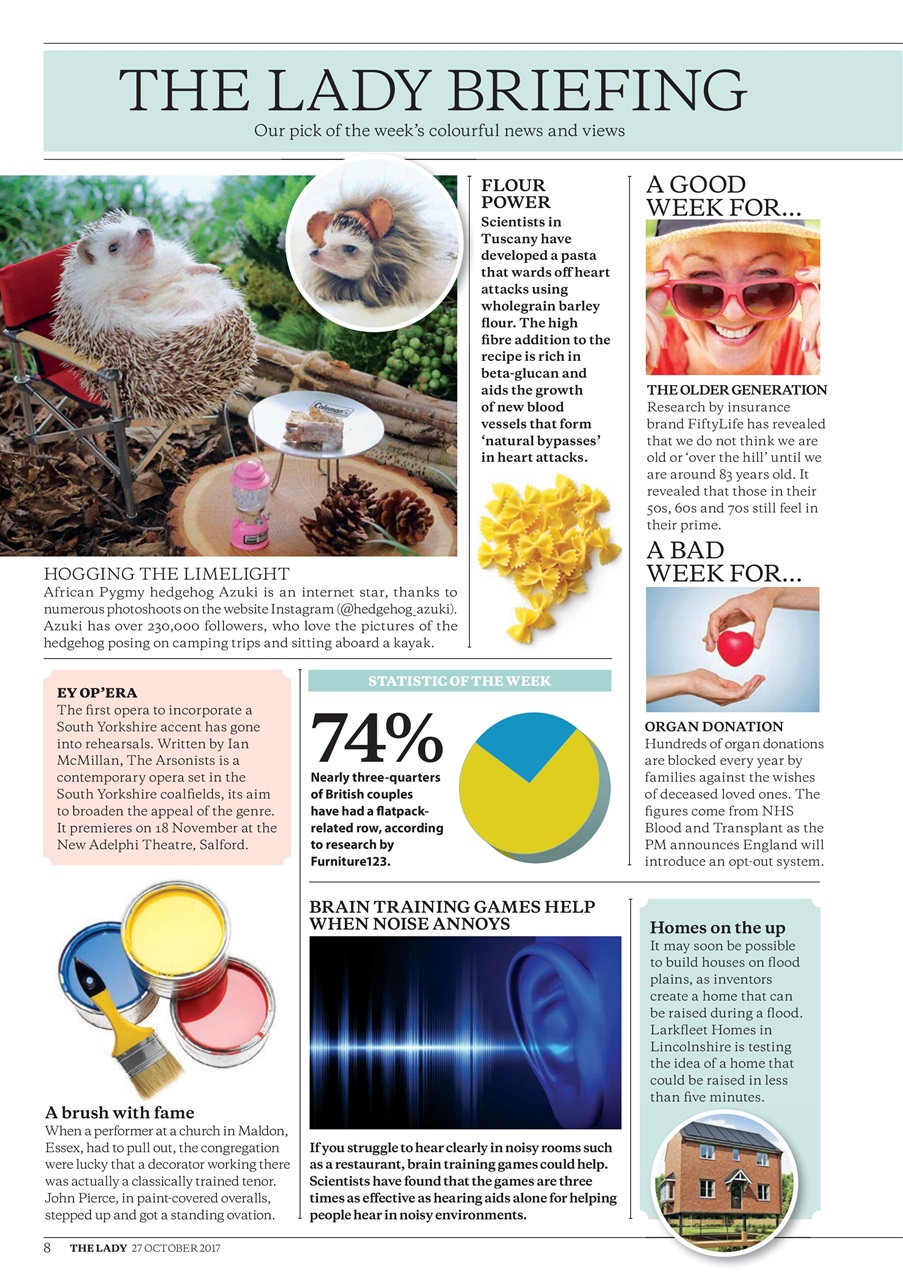 The Lady Preview Pages