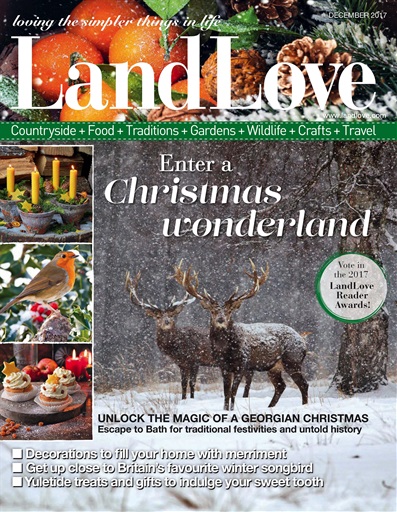 LandLove Magazine issue 