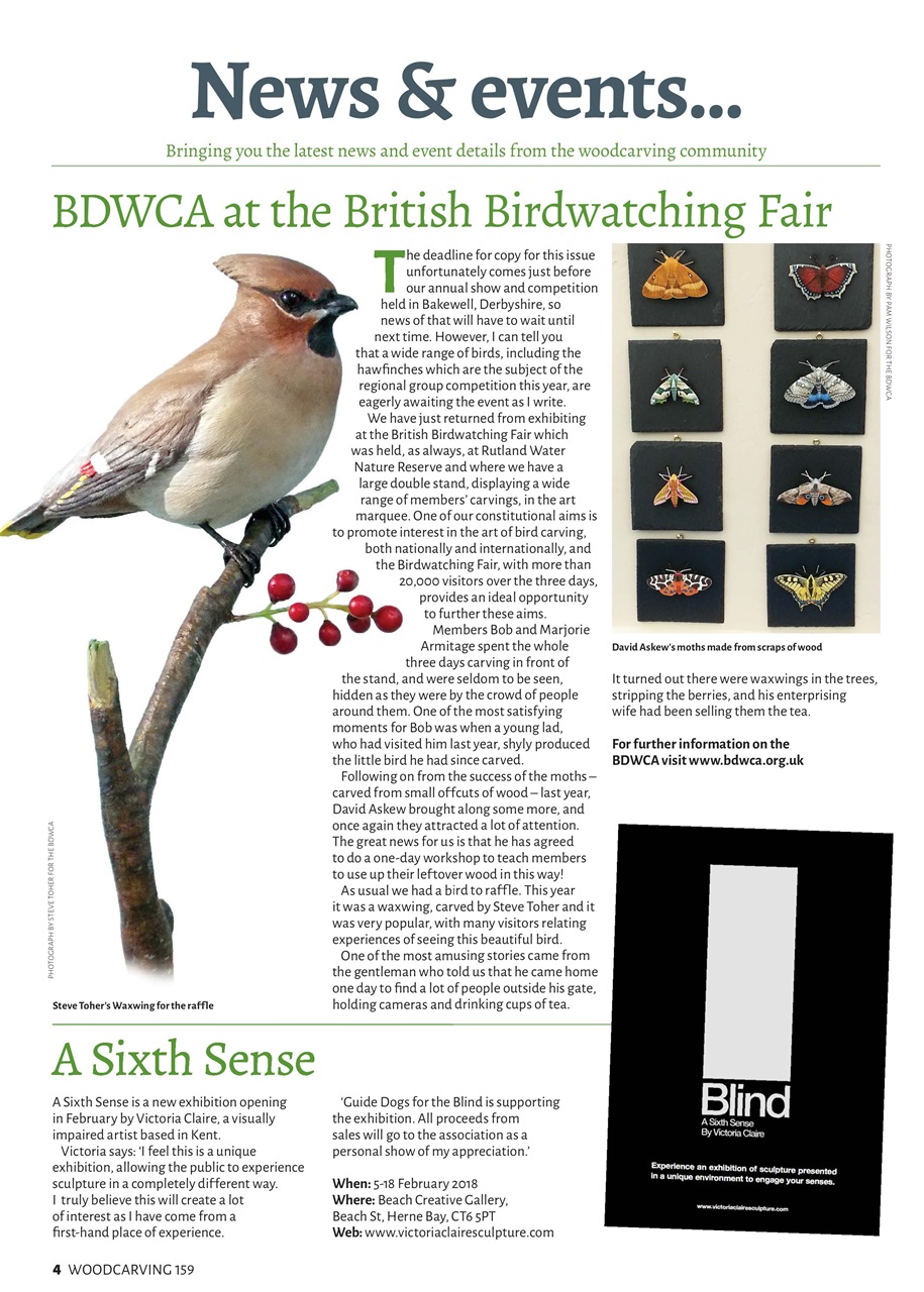 Woodcarving Preview Pages