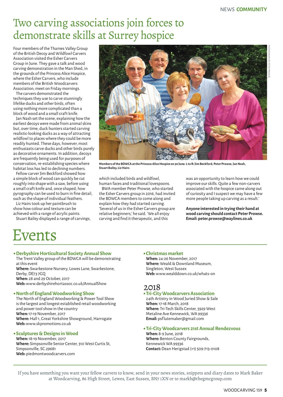 Woodcarving Preview Pages