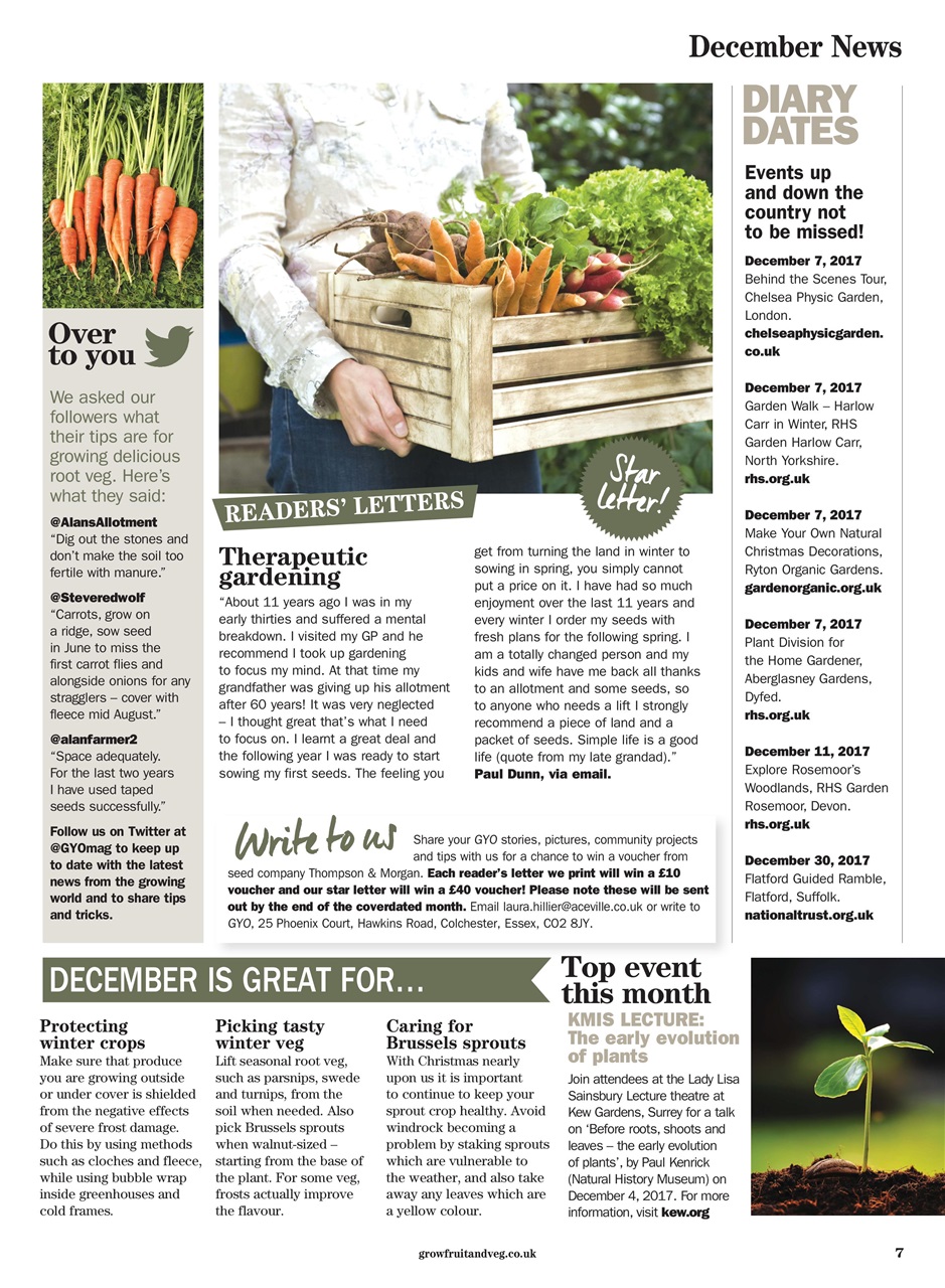 Grow Your Own Preview Pages