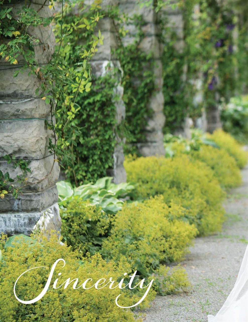 Perfect Wedding Preview Pages