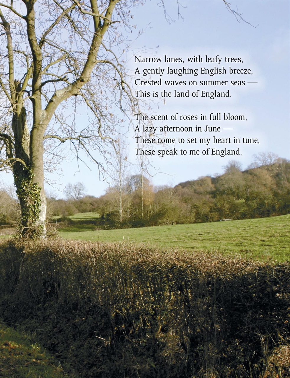 This England Preview Pages