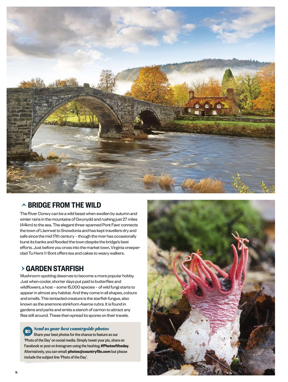 BBC Countryfile Magazine Preview Pages