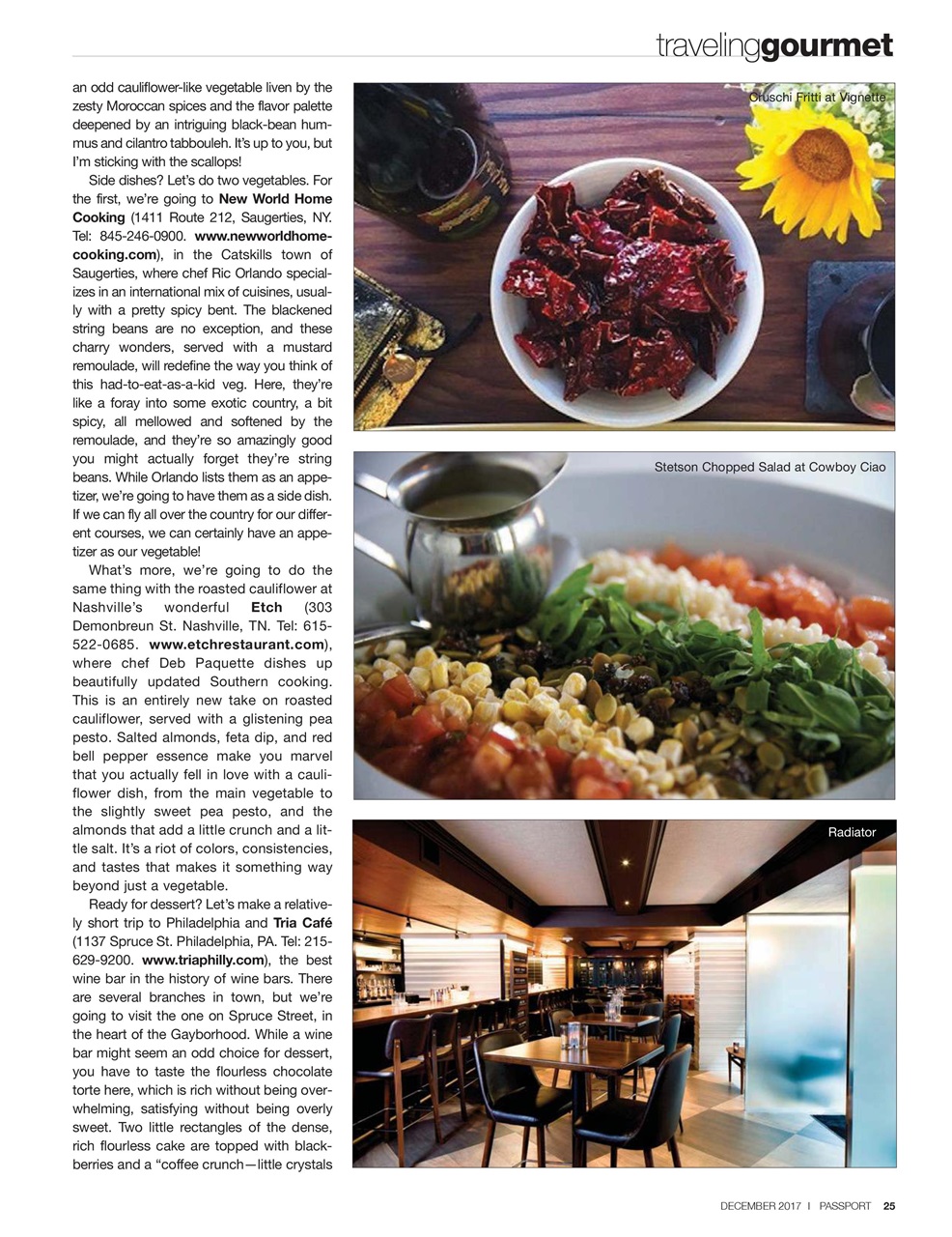 Passport Preview Pages