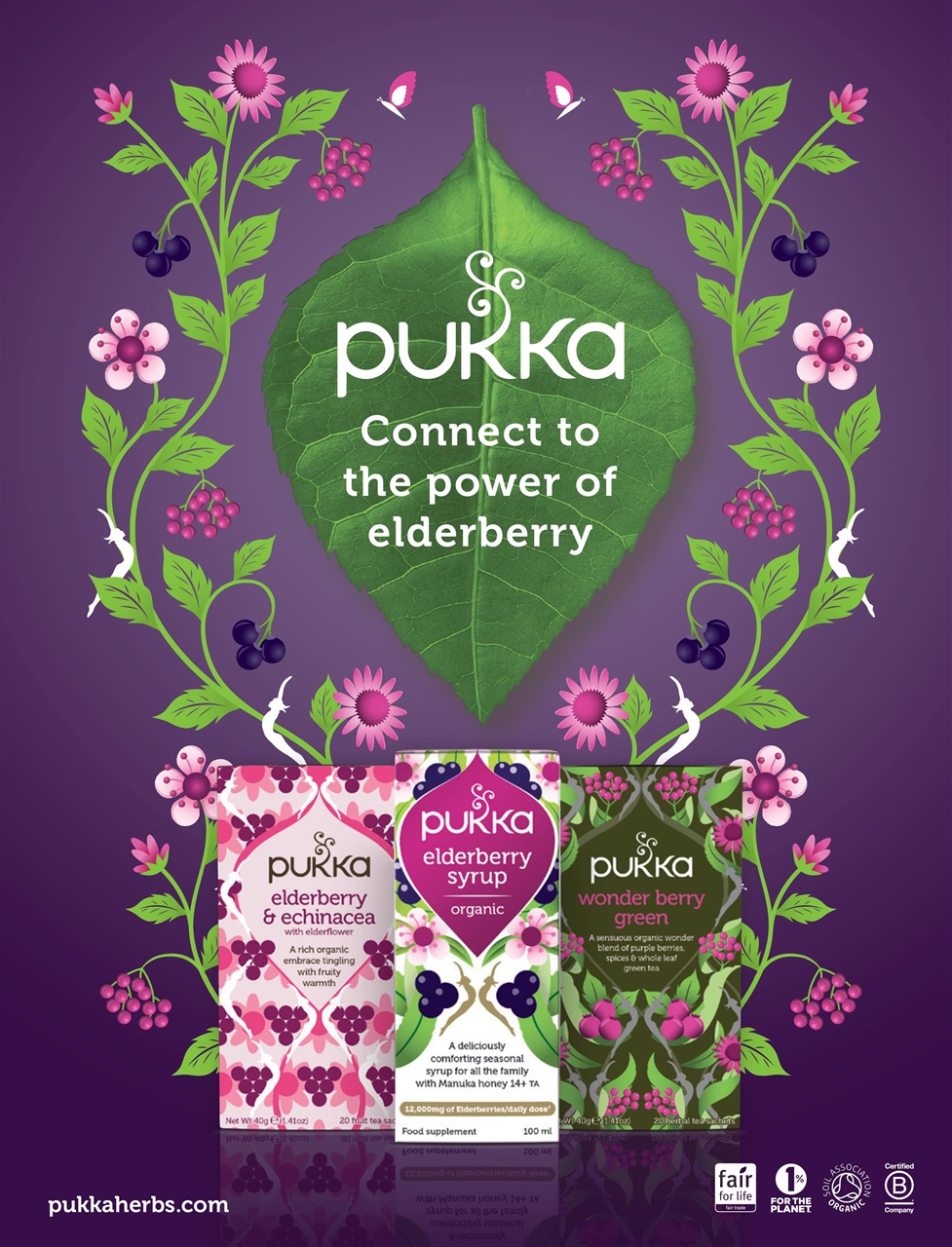 OM Yoga Magazine Preview Pages