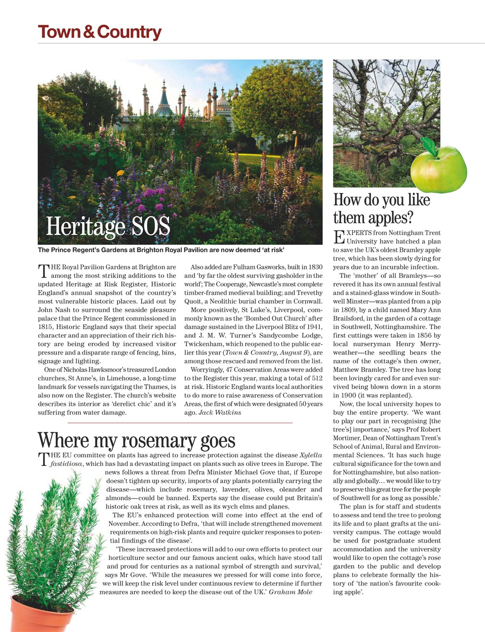 Country Life Preview Pages