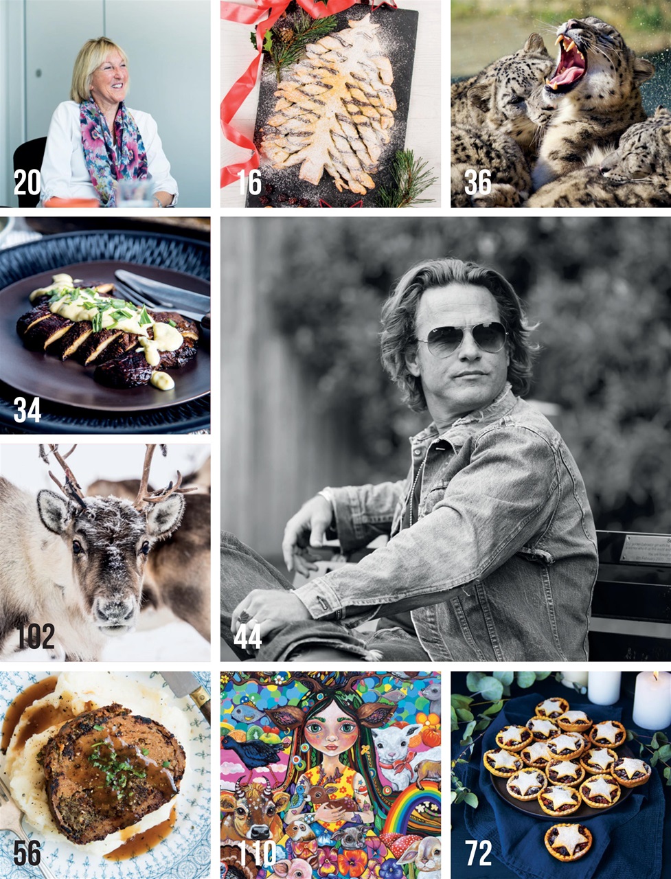 Vegan Life Preview Pages