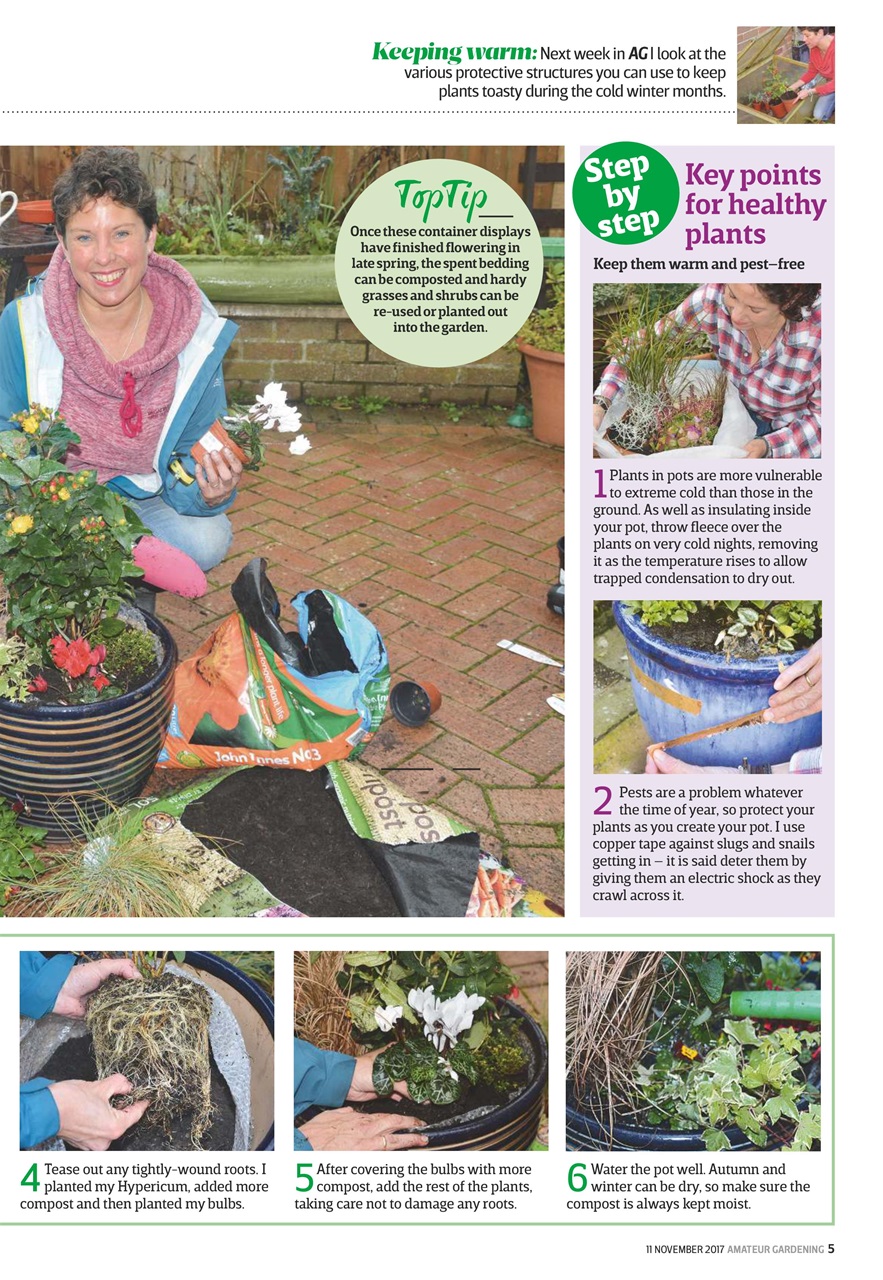 Amateur Gardening Preview Pages