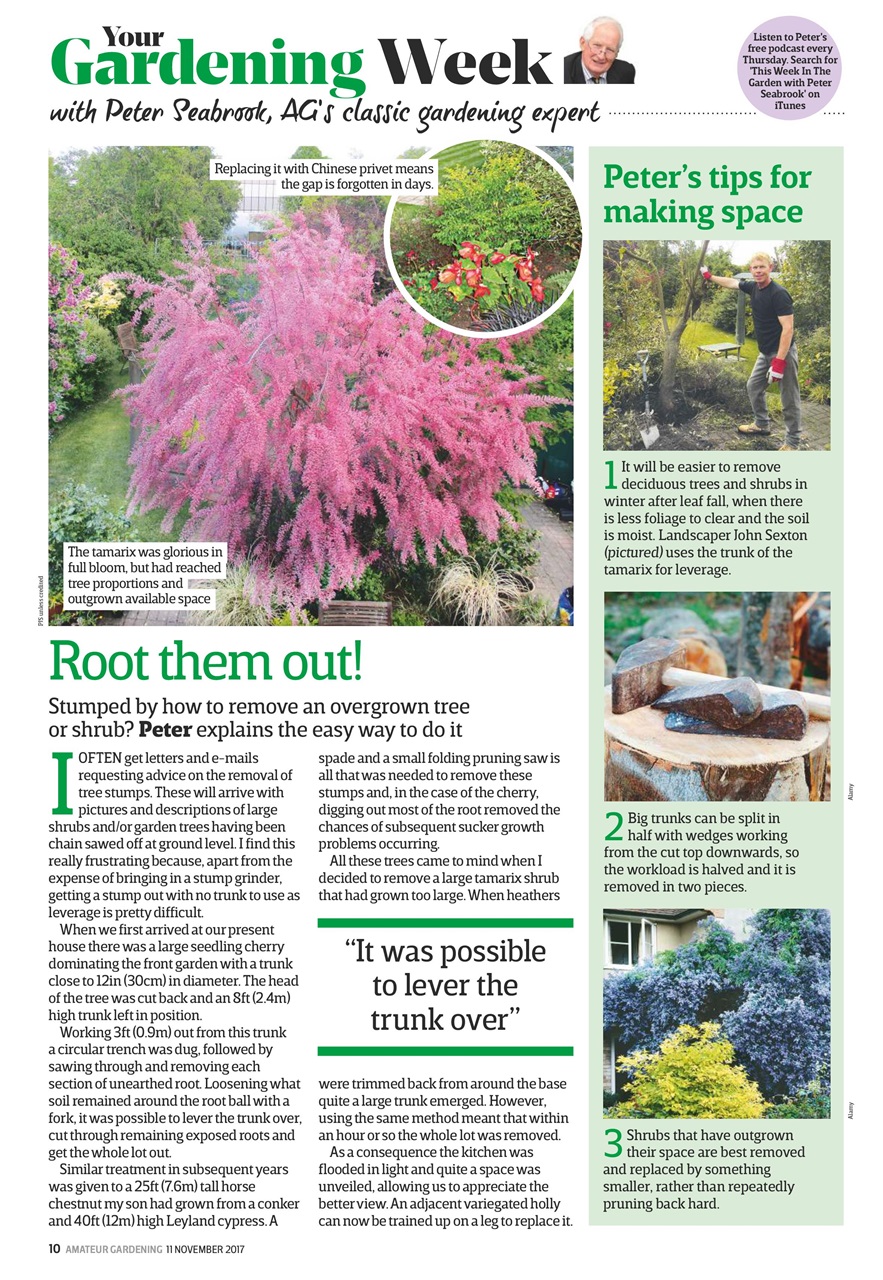 Amateur Gardening Preview Pages
