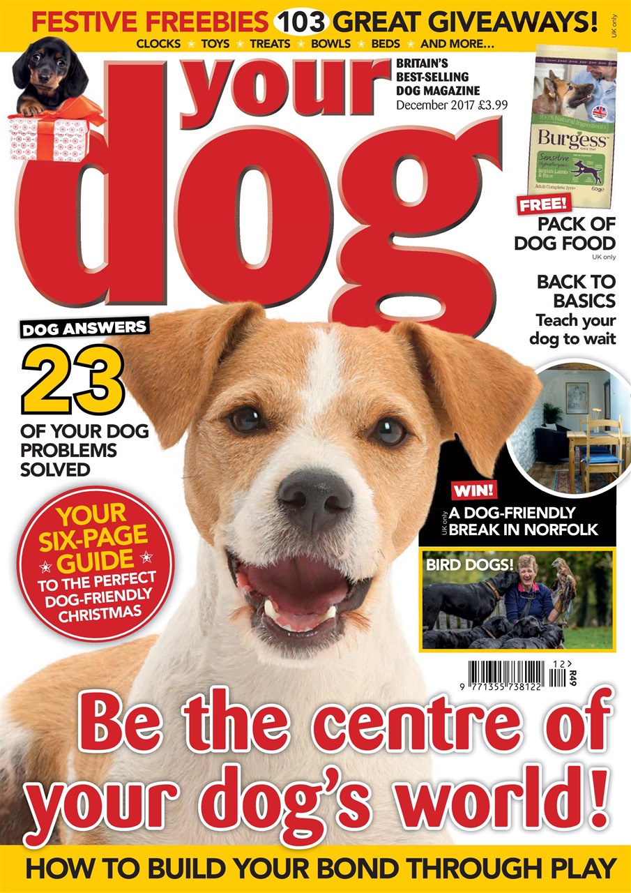 Your Dog Preview Pages