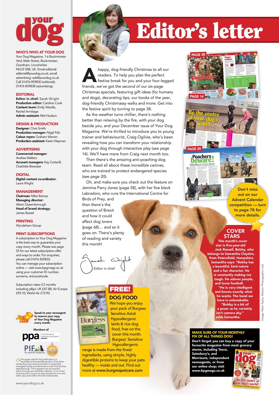 Your Dog Preview Pages